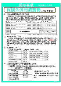 保険外併用療養費に関する事項