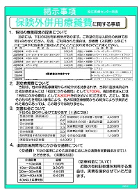 保険外併用療養費に関する事項